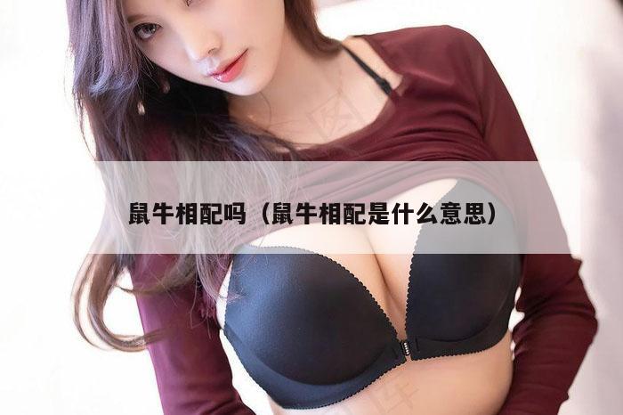 鼠牛相配吗（鼠牛相配是什么意思）