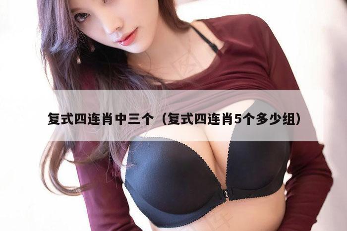 复式四连肖中三个（复式四连肖5个多少组）