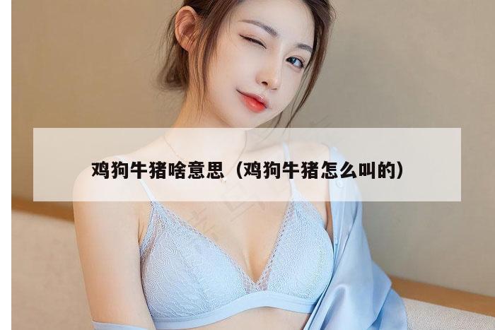 鸡狗牛猪啥意思（鸡狗牛猪怎么叫的）
