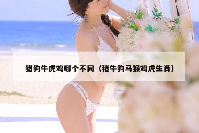 猪狗牛虎鸡哪个不同（猪牛狗马猴鸡虎生肖）